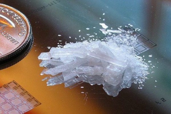 Где найти ссылку на kraken 2022