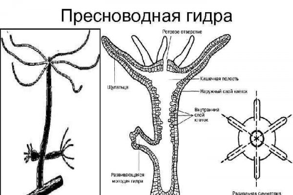 Solaris com зеркало