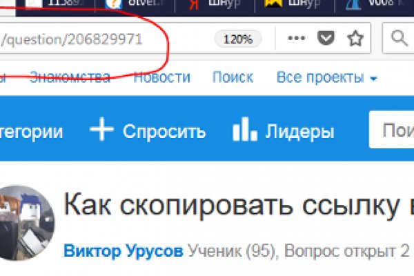 Не могу зайти на кракен