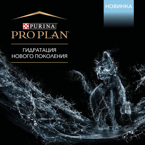 Новая ссылка на kraken 2022 август